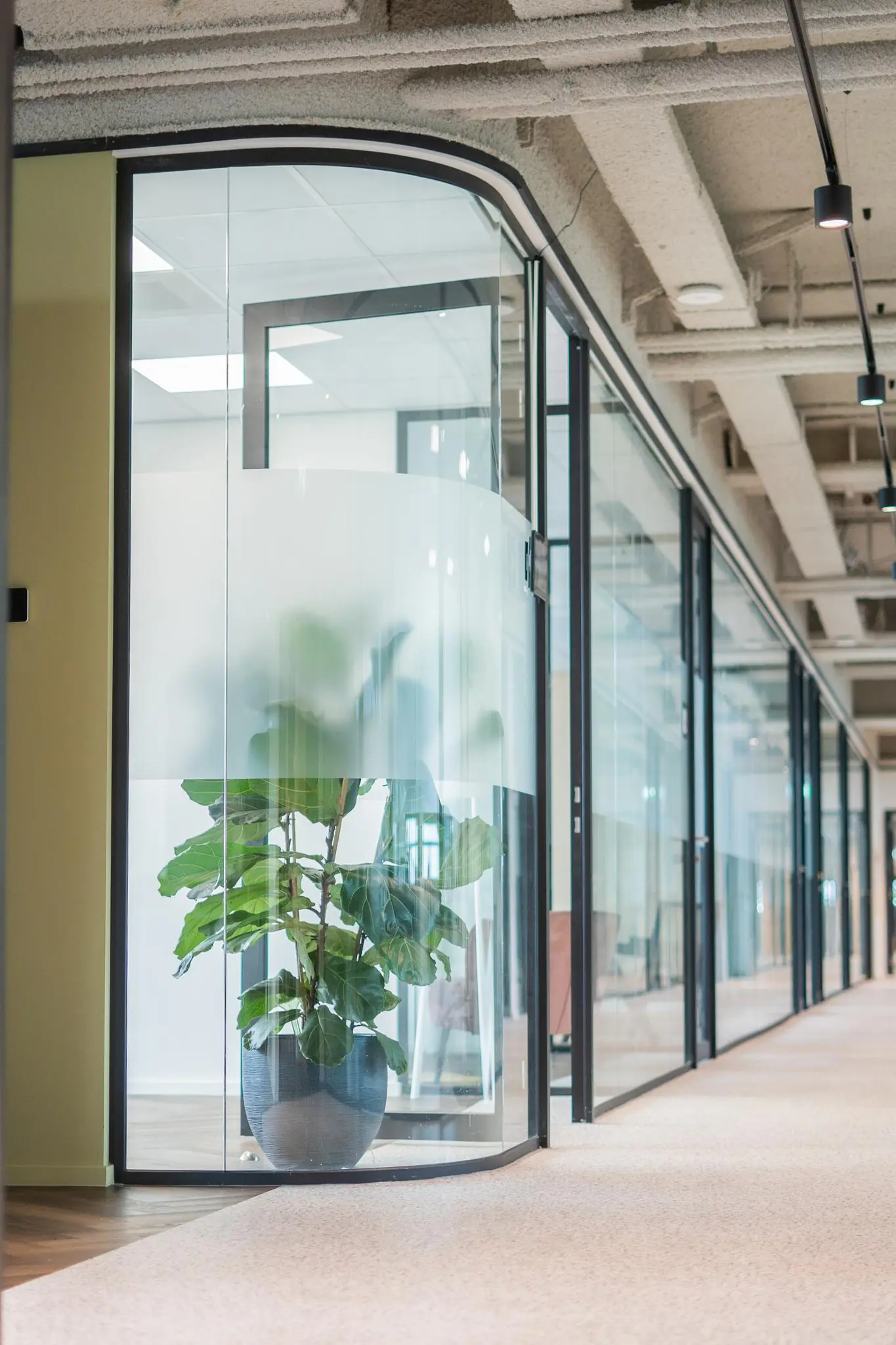 Moderne kantoorruimte aan de Joop Geesinkweg met glazen wanden en een grote groene plant in een glazen hoekkamer.